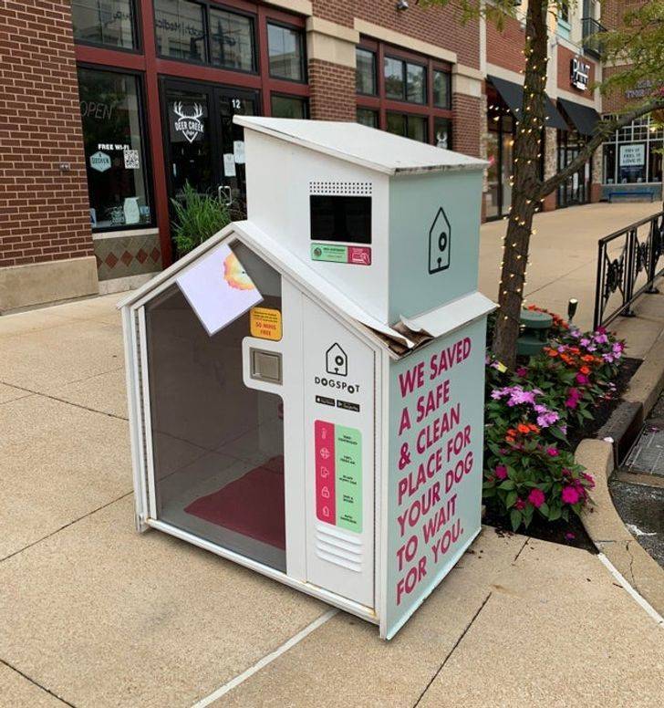 "These sidewalk dog houses will keep your dog safe and cool while you’re shopping."