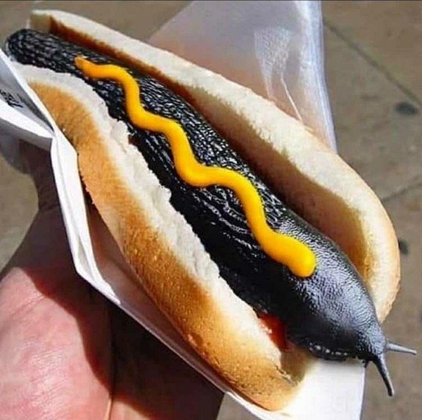 cursed images hot dog