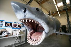 jaws shark