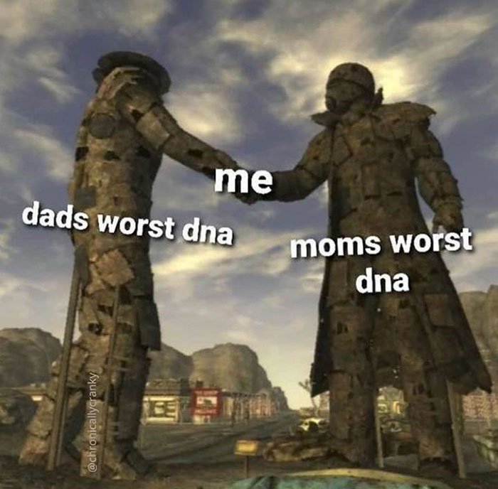 fallout new vegas memes - me dads worst dna moms worst dna Dre