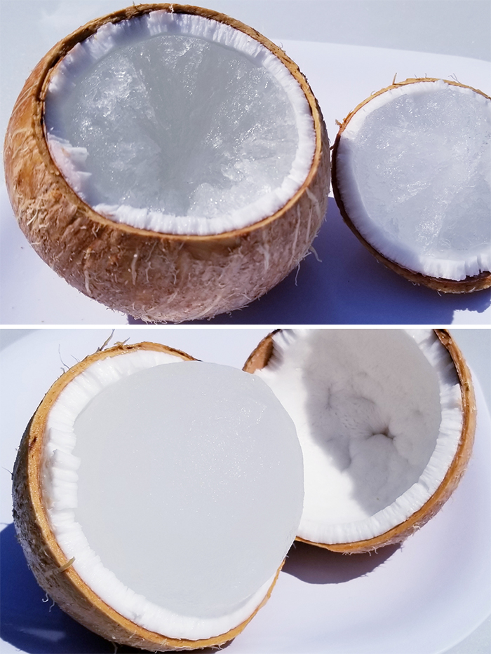 interesting pics - frozen coconut
