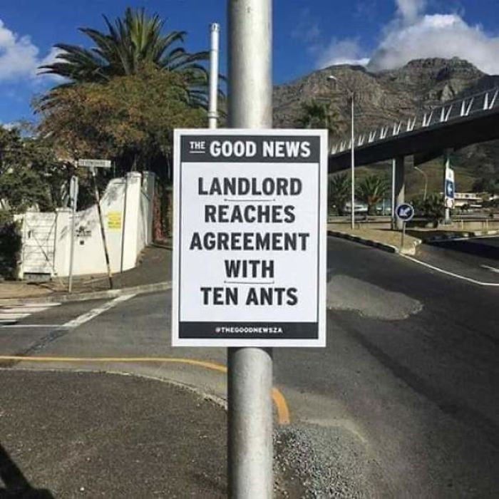 lane - The Good News Landlord Reaches Agreement With Ten Ants THEOOODNEWS2A