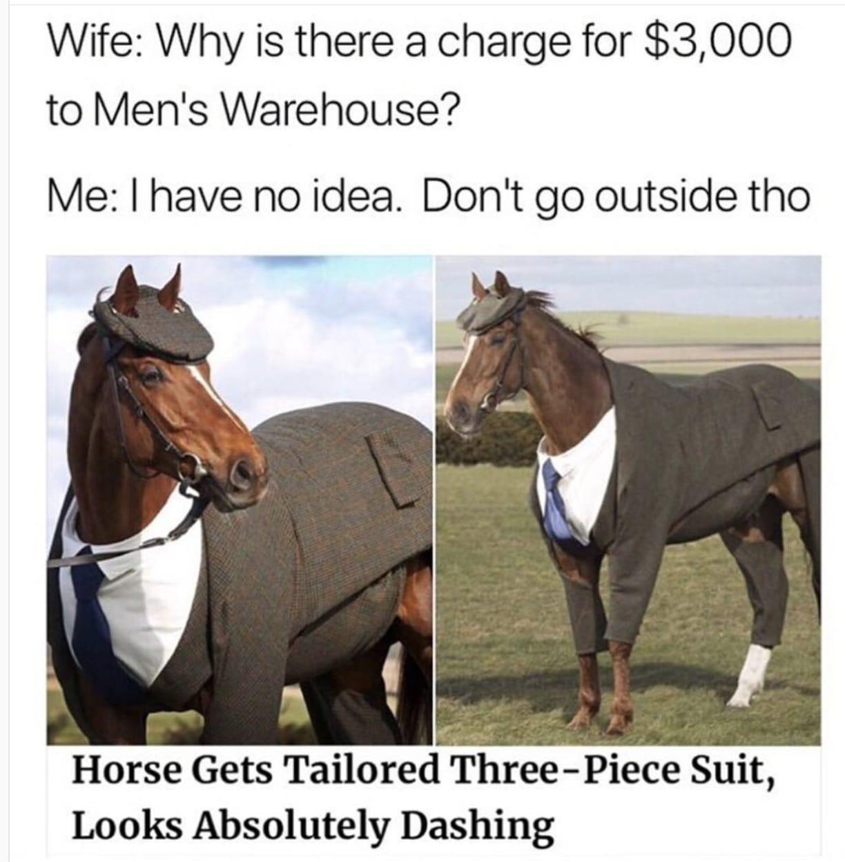 horse gets tailored 3 piece suit - Wife Why is there a charge for $3,000 to Men's Warehouse? Me I have no idea. Don't go outside tho Horse Gets Tailored ThreePiece Suit, Looks Absolutely Dashing