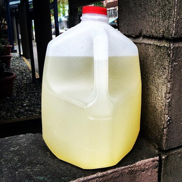 plastic jug filled with urine