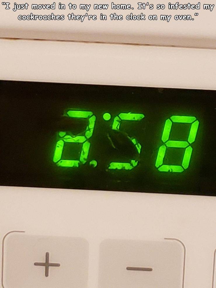 when life sucks - display device - "I just moved in to my new home. It's so infested my cockroaches they're in the clock on my oven. 0 O'S8