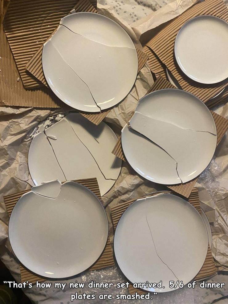 when life sucks - ceramic - "That's how my new dinner set arrived. 56 of dinner plates are smashed."