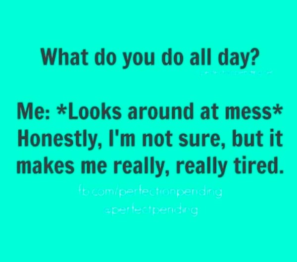 funny memes - number - What do you do all day? Me Looks around at mess Honestly, I'm not sure, but it makes me really, really tired. fo.compertectionpending apertestpending