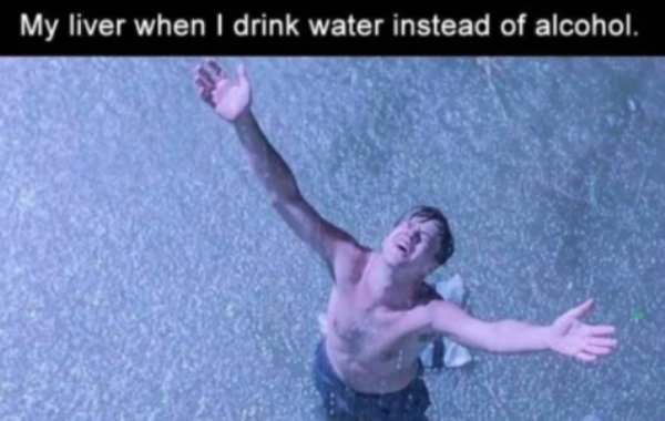 funny memes - shawshank redemption rain - My liver when I drink water instead of alcohol.
