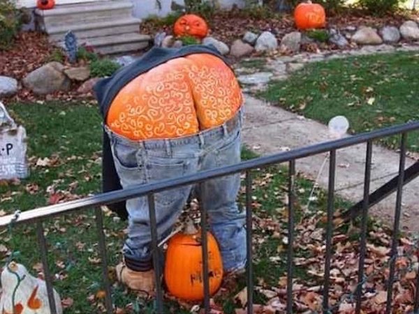 funny memes -- funny halloween pumpkin butt