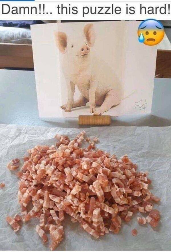 funny memes - pig puzzle meme - Damn!!.. this puzzle is hard! Ed