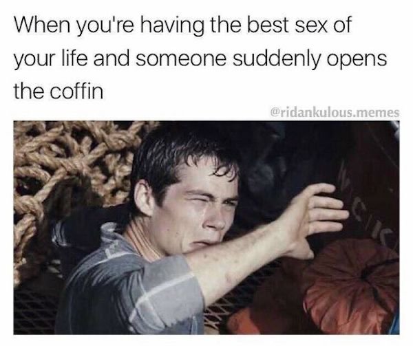 funny memes - necrophilia funny - When you're having the best sex of your life and someone suddenly opens the coffin