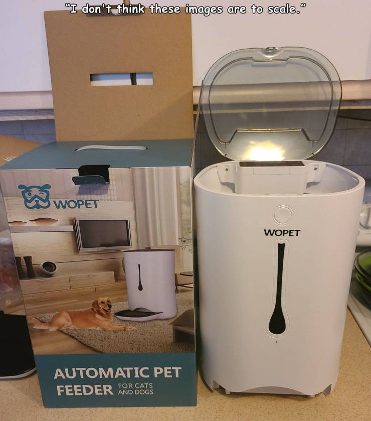 small appliance - "I don't think these images are to scale. Wopet Wopet Automatic Pet Feeder For Cats And Dogs