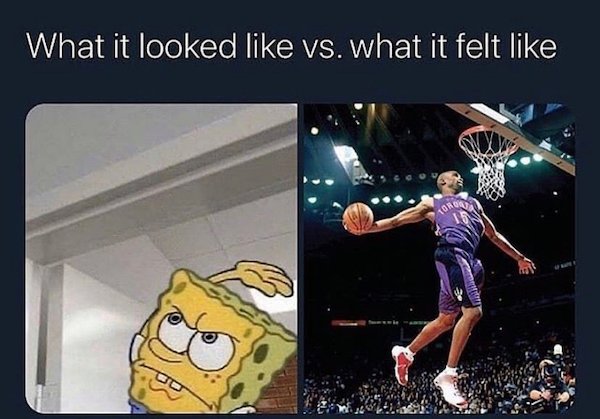 vince carter dunk - What it looked vs. what it felt Orgon