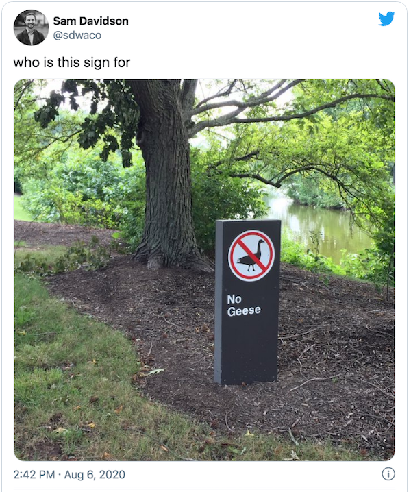 funny sign fails - who is this sign for - no geese