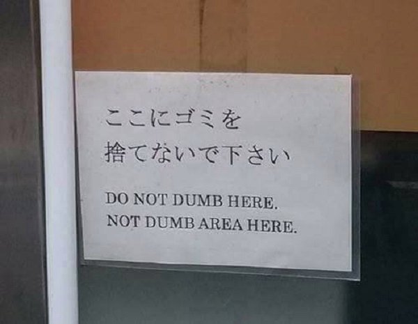 funny translations - Do Not Dumb Here. Not Dumb Area Here.