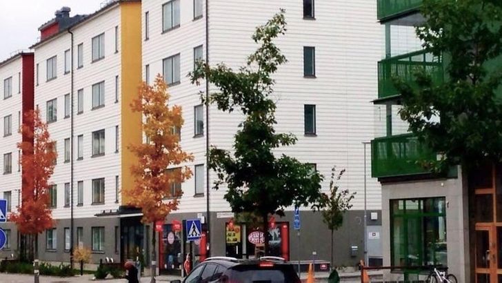 “By complete coincidence, the trees along this street matched the colors of the buildings.”