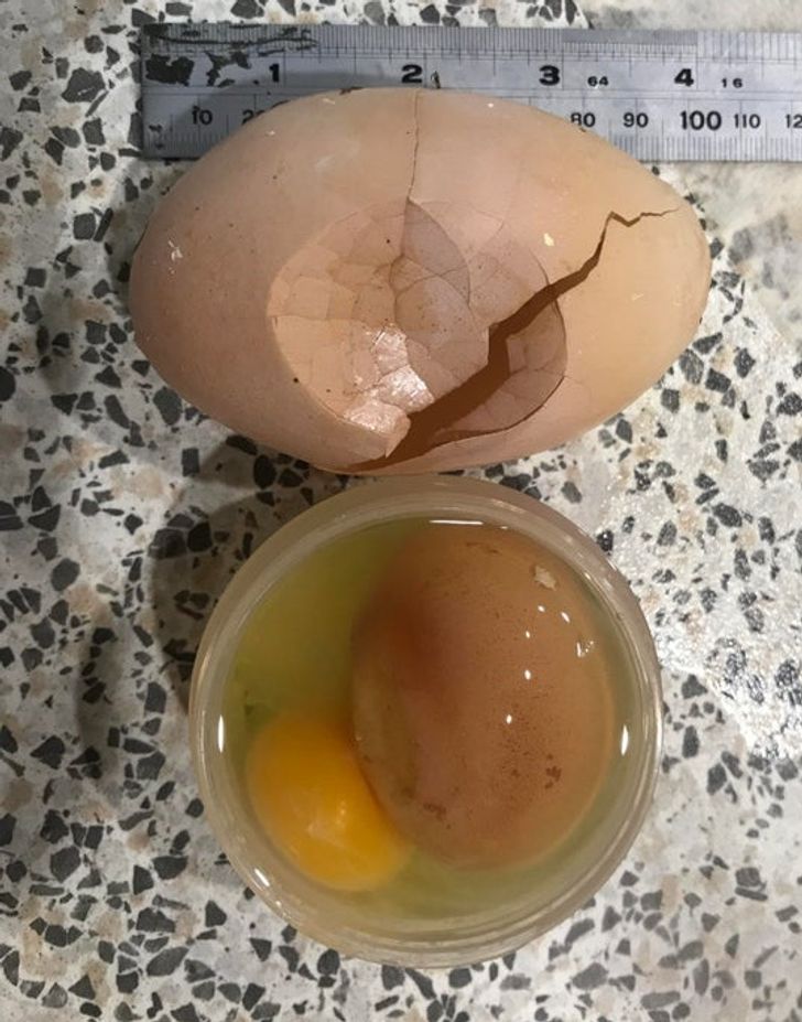 “Our chicken laid a 10 cm (4 inch) egg with another egg inside the egg.”