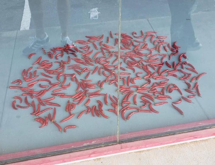 “Random pile of peppers inside an abandoned laundromat”