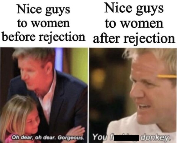you fucking donkey meme - Nice guys Nice guys to women to women before rejection after rejection On dear, oh dear. Gorgeous. You donkey