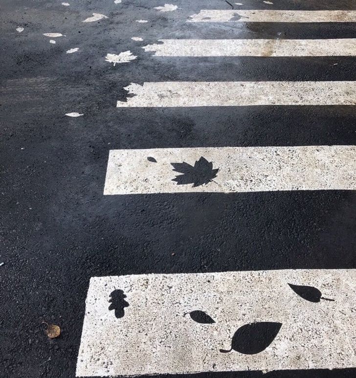 “Autumn pedestrian crossing in Yekaterinburg, Russia”