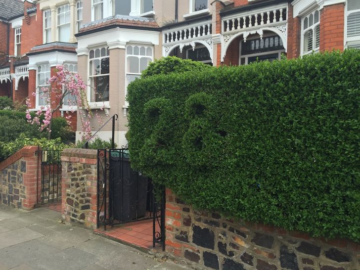 “This house has the street number trimmed in the hedge in Muswell Hill, London.”