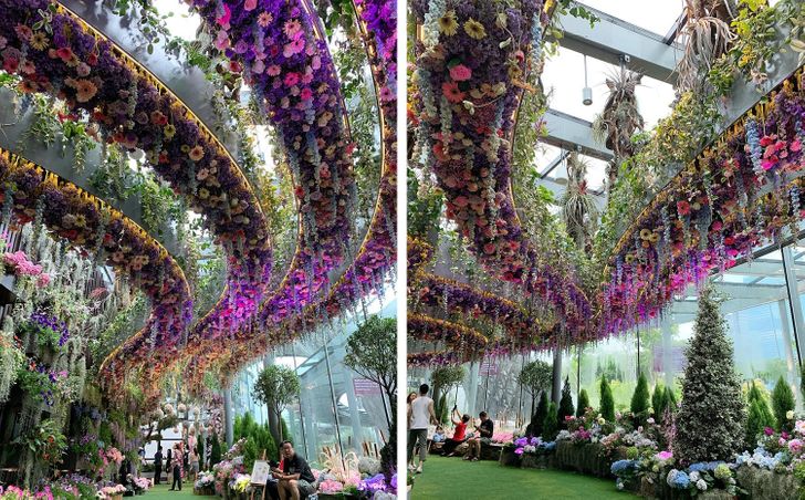 Overhead gardens in Singapore In the daytime.