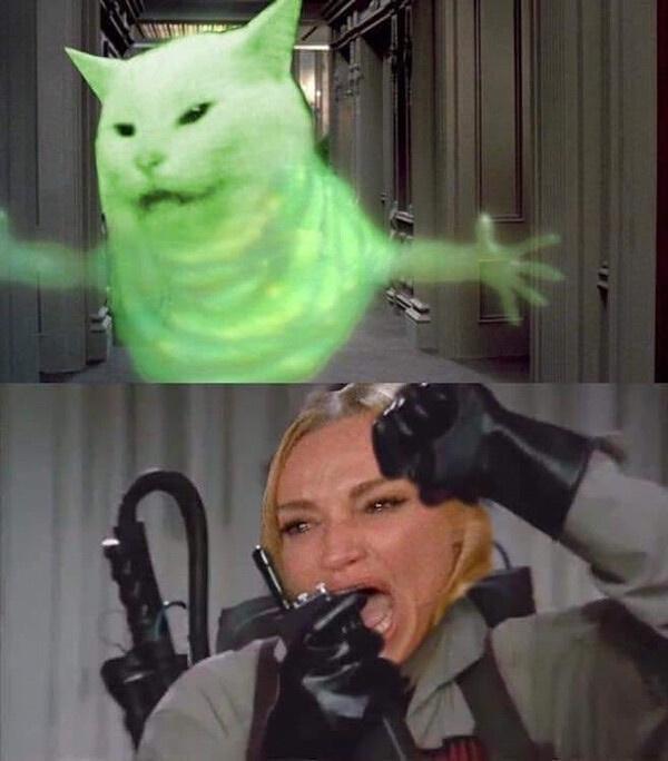 funny memes -- blursed ghostbusters cat arguing meme
