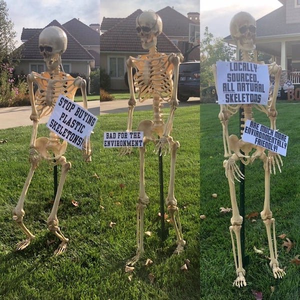 funny memes - Locally Sourced, All Natural Skeletons Stop Buying Plastic Skeletons! Much More Environmentally Friendly! Bad For The Environment
