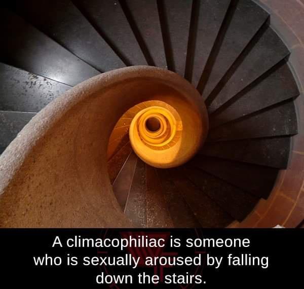 funny memes - A climacophiliac is someone who is sexually aroused by falling down the stairs.