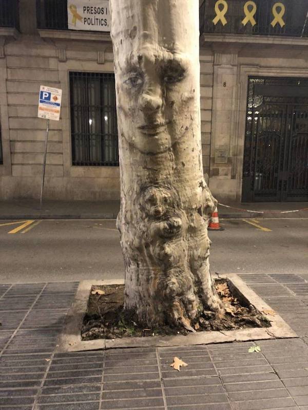 funny memes - tree with a face in the bark