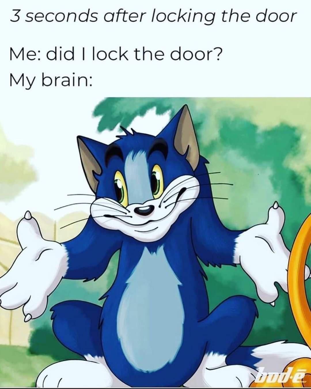 funny memes - 3 seconds after locking the door Me did I lock the door? My brain wud