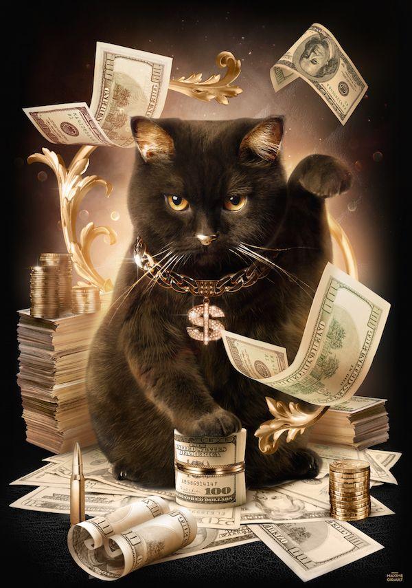 funny memes - mafia cat money