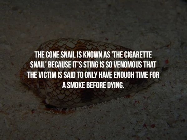 17 Creepy Fact to Chill You to the Bone.