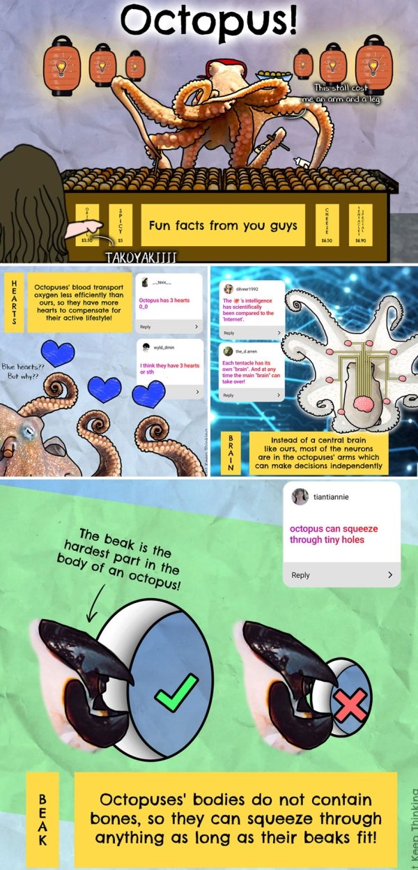 30 Infographs to Help You Understand the World Better.