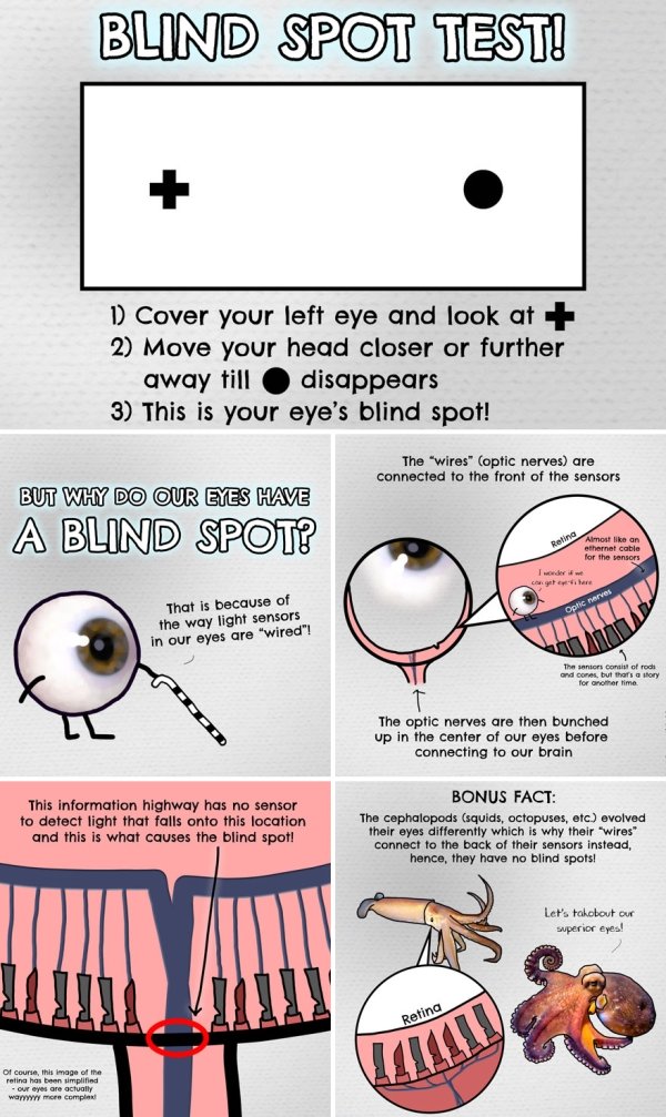 30 Infographs to Help You Understand the World Better.