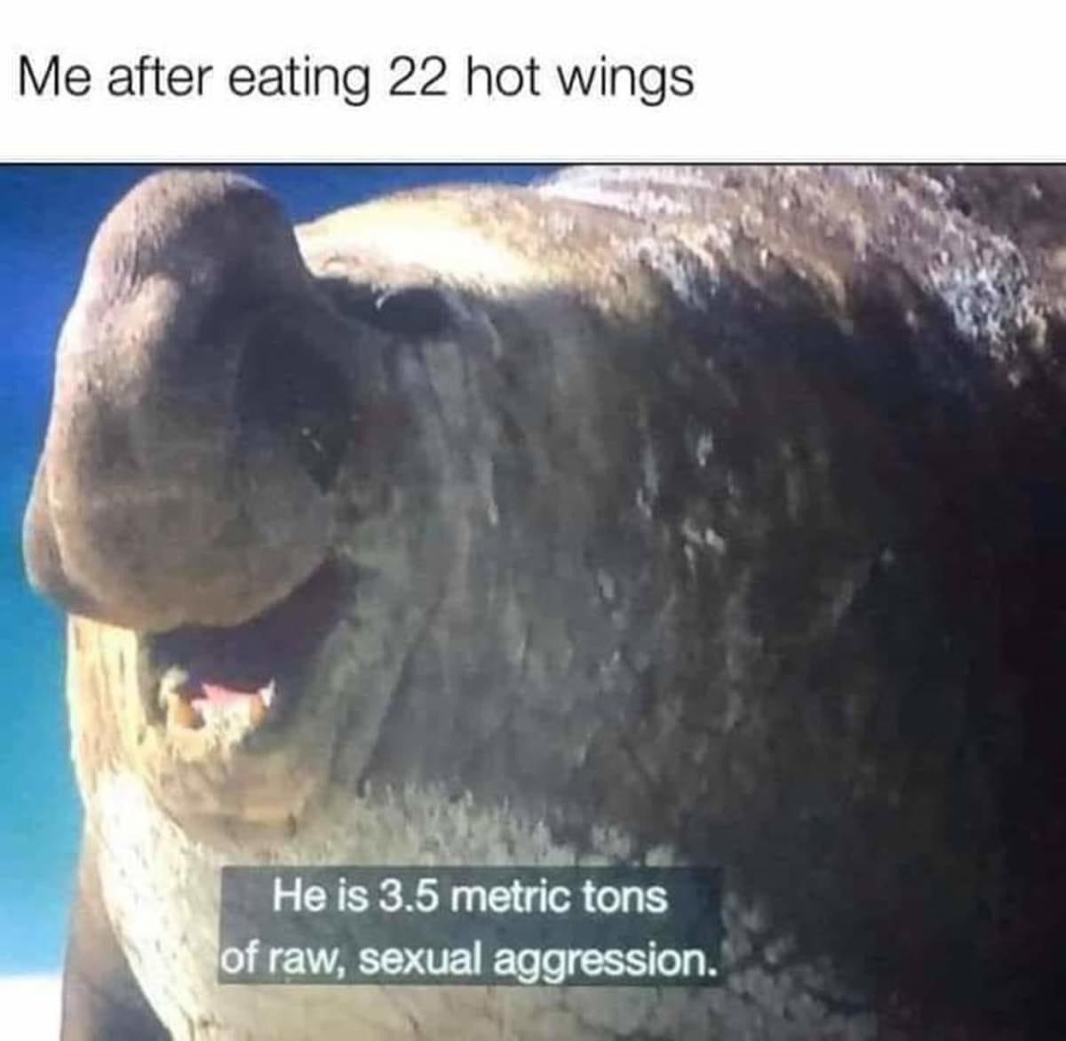 he is 3.5 metric tons of raw - Me after eating 22 hot wings He is 3.5 metric tons of raw, sexual aggression.