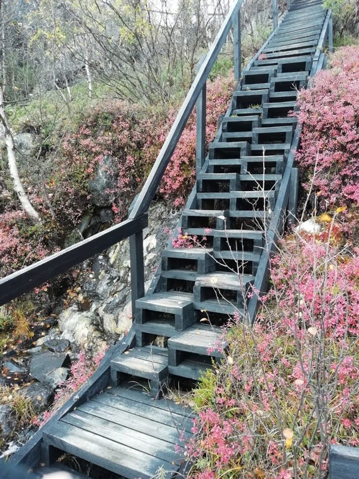 “I came across these weird stairs on a hiking trail.”