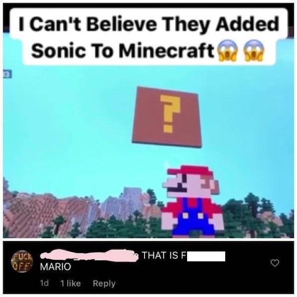 games - I Can't Believe They Added Sonic To Minecraft ? That Is F Fuck Off Mario 1d 1