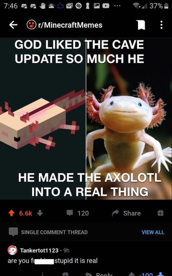 photo caption - co. till 37% frMinecraft Memes God d The Cave Update So Much He He Made The Axolotl Into A Real Thing 120 Single Comment Thread View All Tankertot1123.9h are you fy stupid it is real Donly 100 L