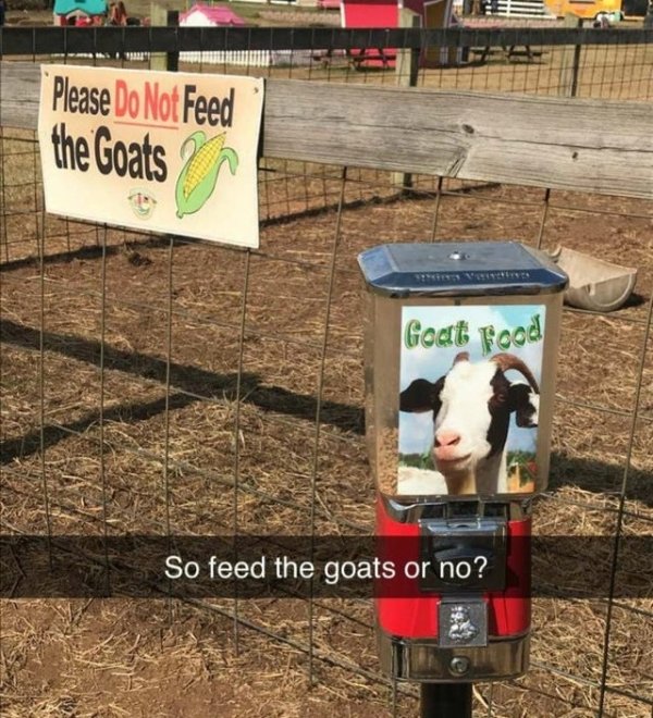 soil - Please Do Not Feed the Goats Goat Food So feed the goats or no?