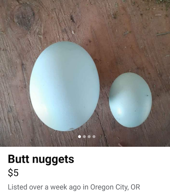 31 WTF Things Found On Craigslist.