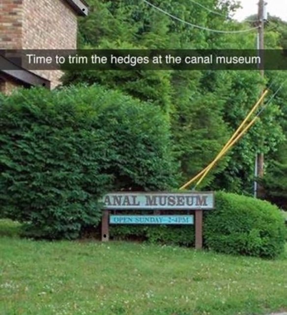 snapchat funny - Time to trim the hedges at the canal museum Anal Museum Opinisundit Si