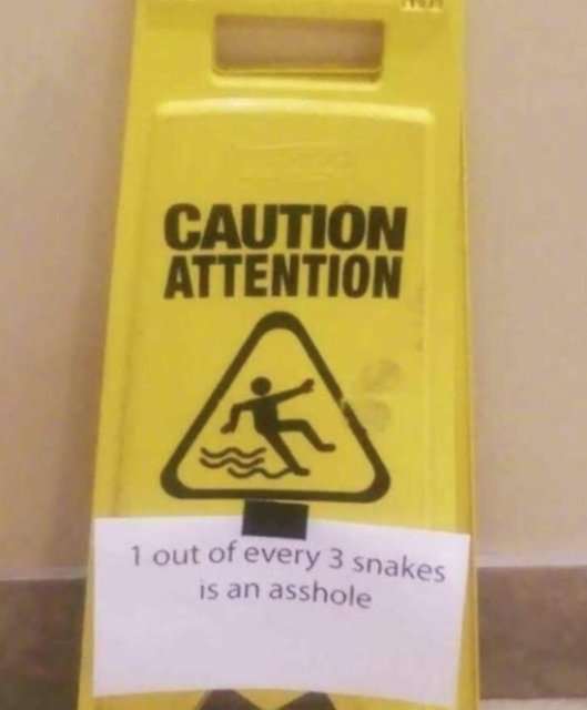 Caution Attention 1 out of every 3 snakes is an asshole