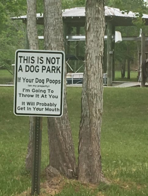 viola - This Is Not A Dog Park If Your Dog Poops I'm Going To Throw It At You It Will Probably Get In Your Mouth con my property