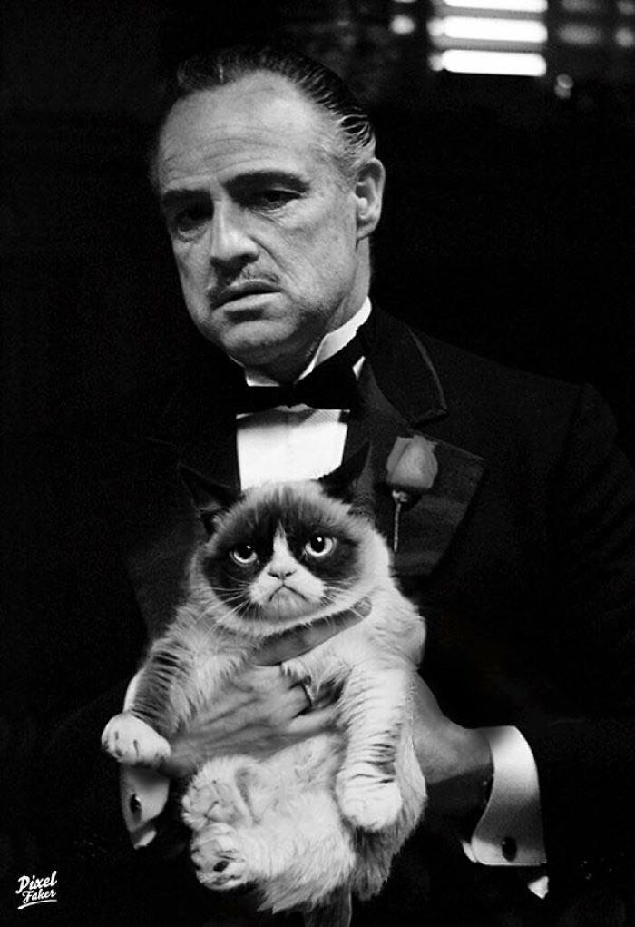 marlon brando godfather - C