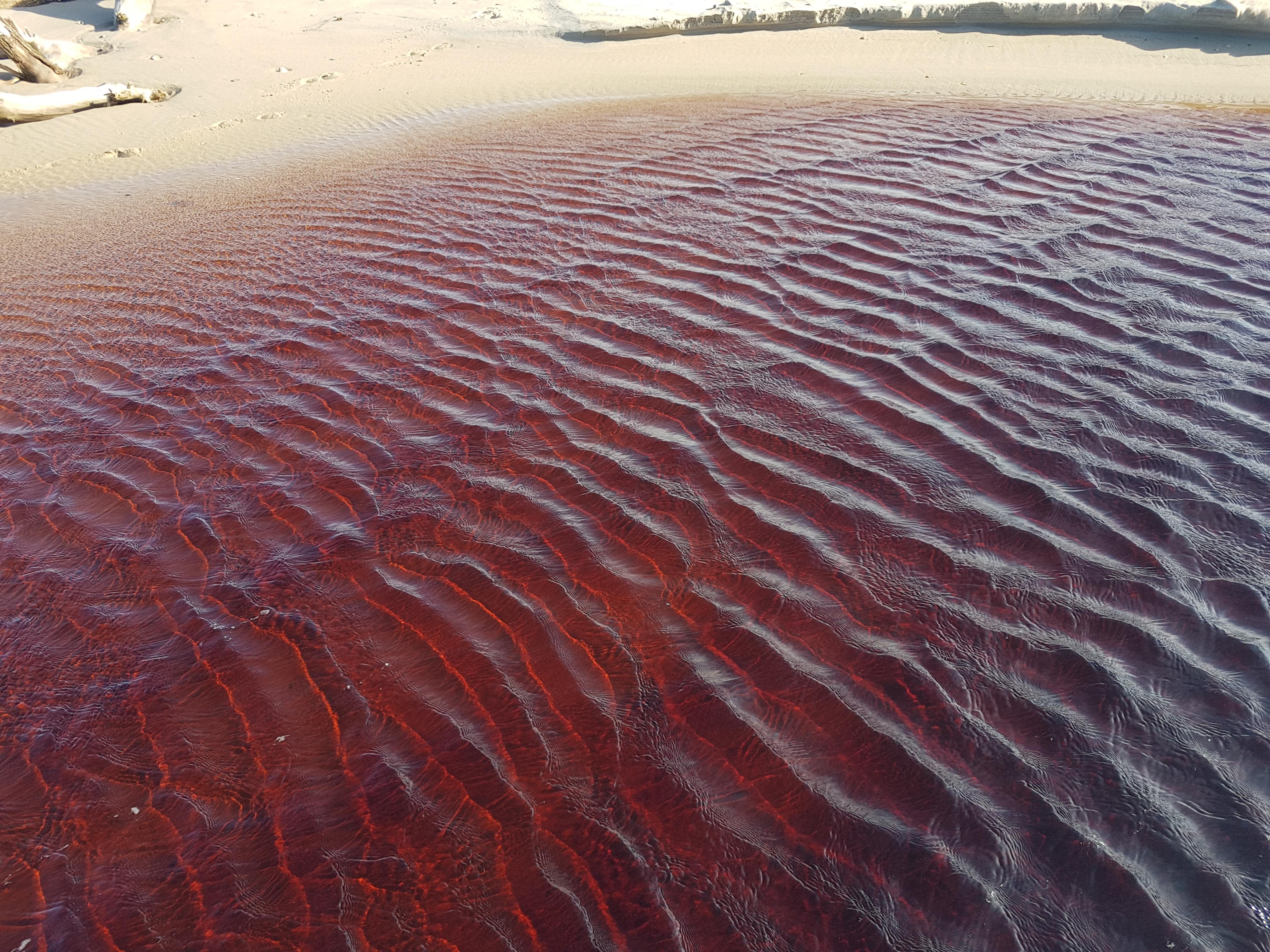 red water beach - 25
