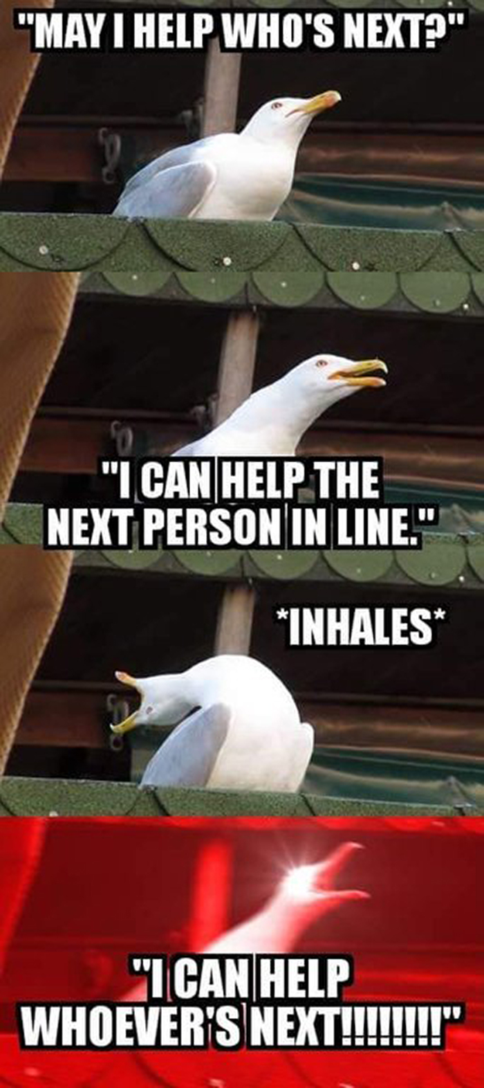 funny work memes - inhaling seagull meme - may I help who's next? I can help the next person in line