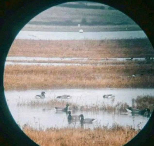 “Marsh looks like Jupiter trough a spotting scope.”