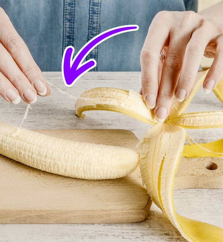 The long strips on a peeled banana — Phloem bundles