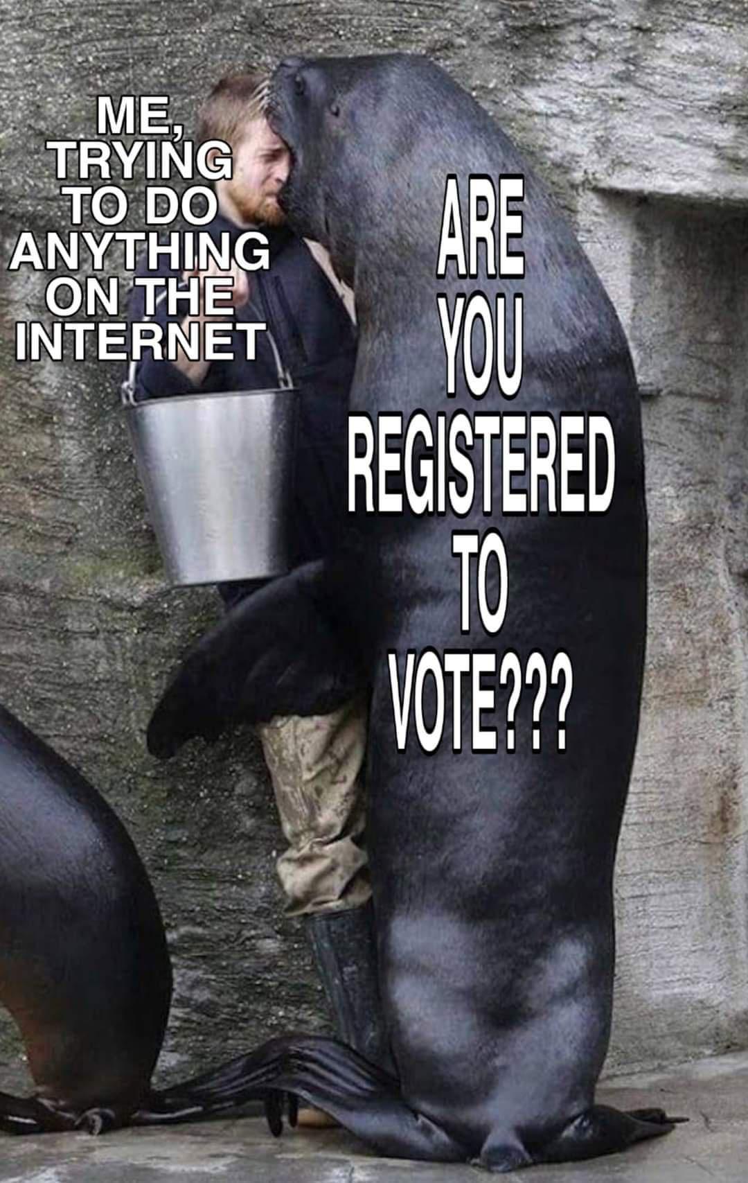 giant sealion - Me, Trying To Do Anything On The Internet Are You Registered To Vote???